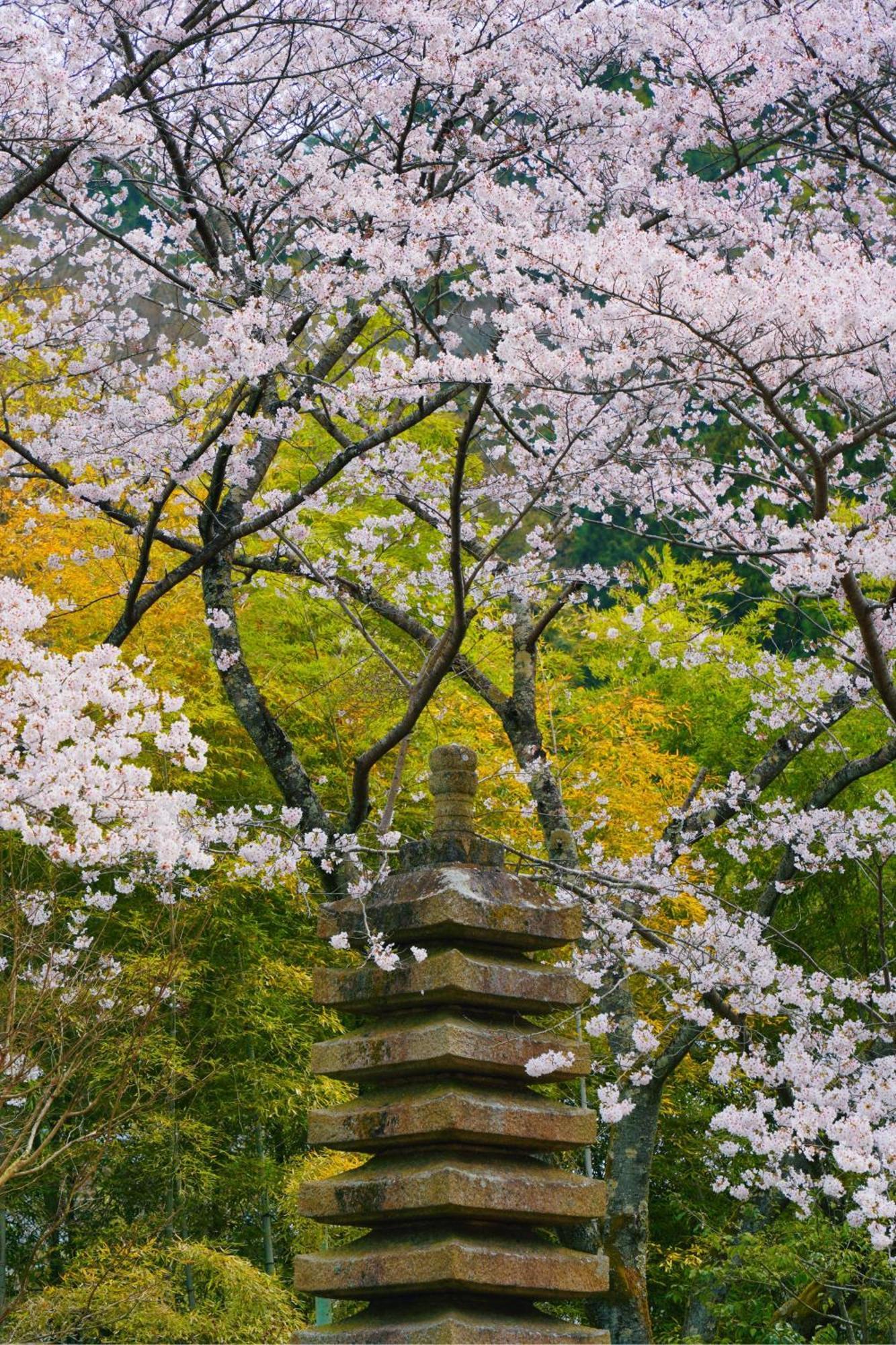 Oukai Villa Izumi Izumi  Exteriér fotografie
